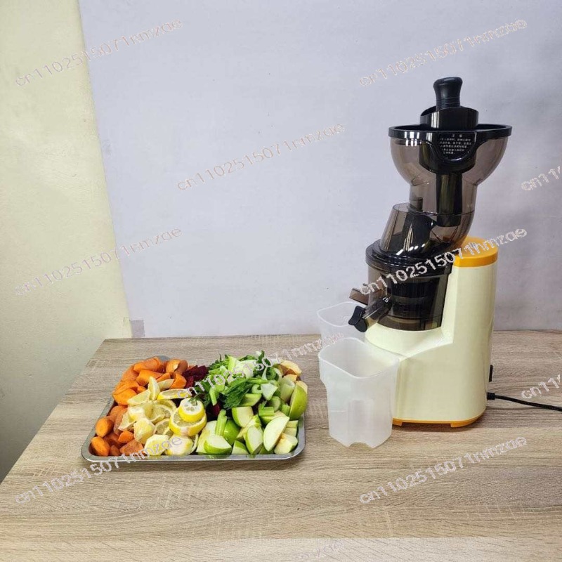 Juicer Cold Press Slow - Slow Juicer met grote diameter van