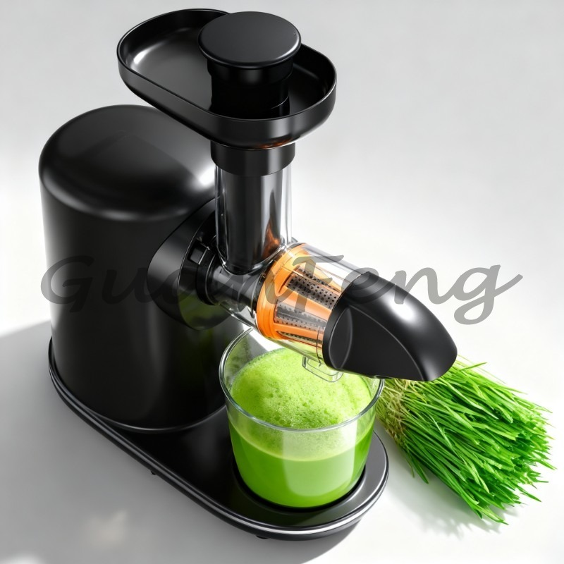 Koudpers slowjuicer, elektrisc - Juicer Cold Press Slow recensie en prijs