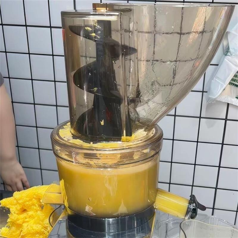 500W Commerciële Hoge Producti - Juicer Cold Press Slow recensie en prijs