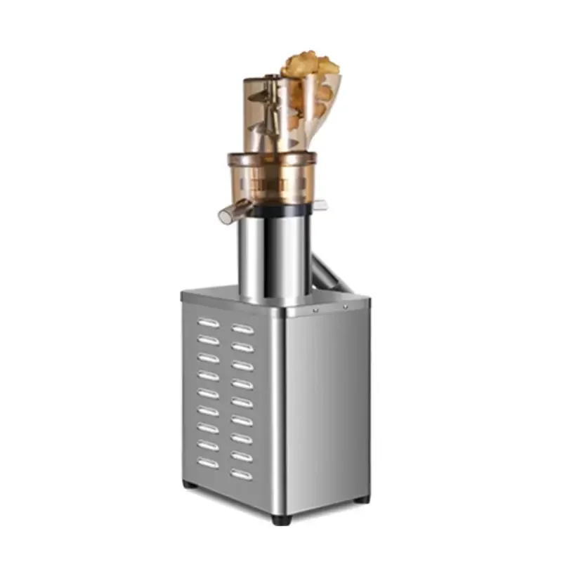 Professionele Juicer Extractor - Juicer Cold Press Slow recensie en prijs