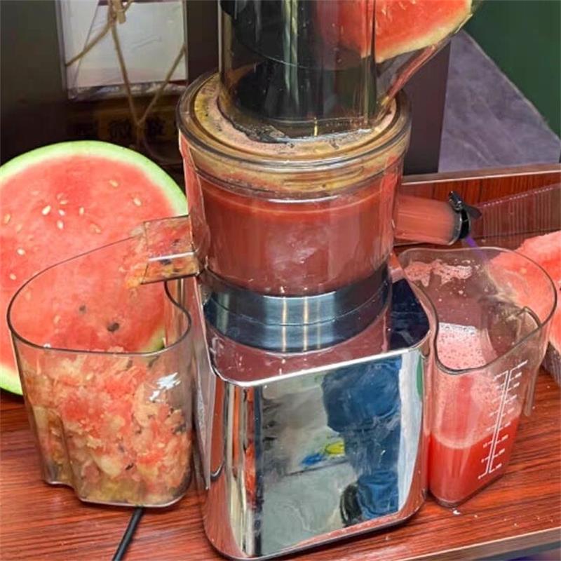 500W Commerciële en huishoudel - Juicer Cold Press Slow recensie en prijs